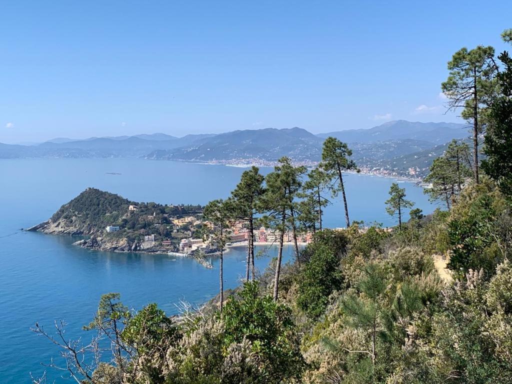 La Pergola Dei Paggi Villa Sestri Levante Buitenkant foto