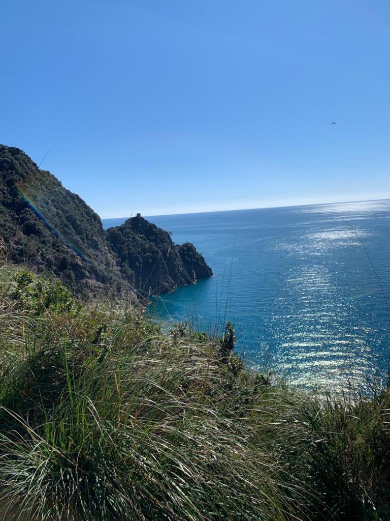 La Pergola Dei Paggi Villa Sestri Levante Buitenkant foto