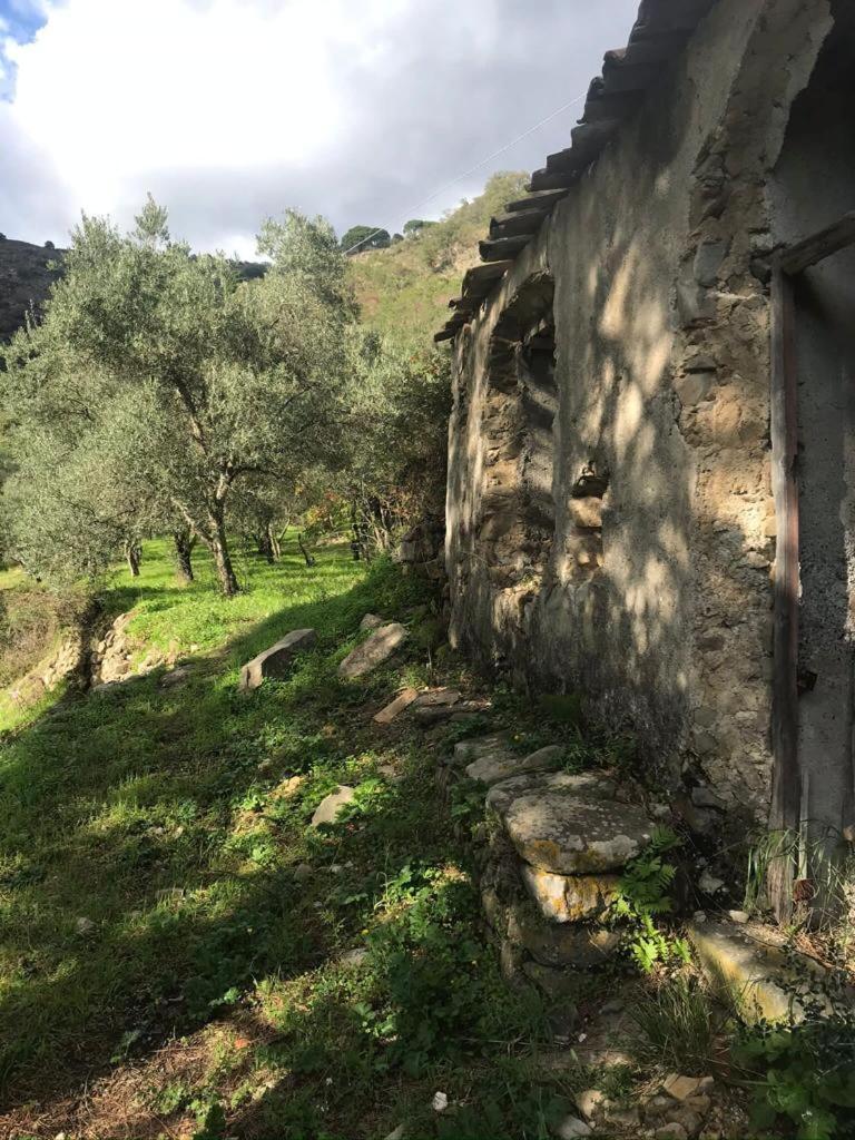 La Pergola Dei Paggi Villa Sestri Levante Buitenkant foto